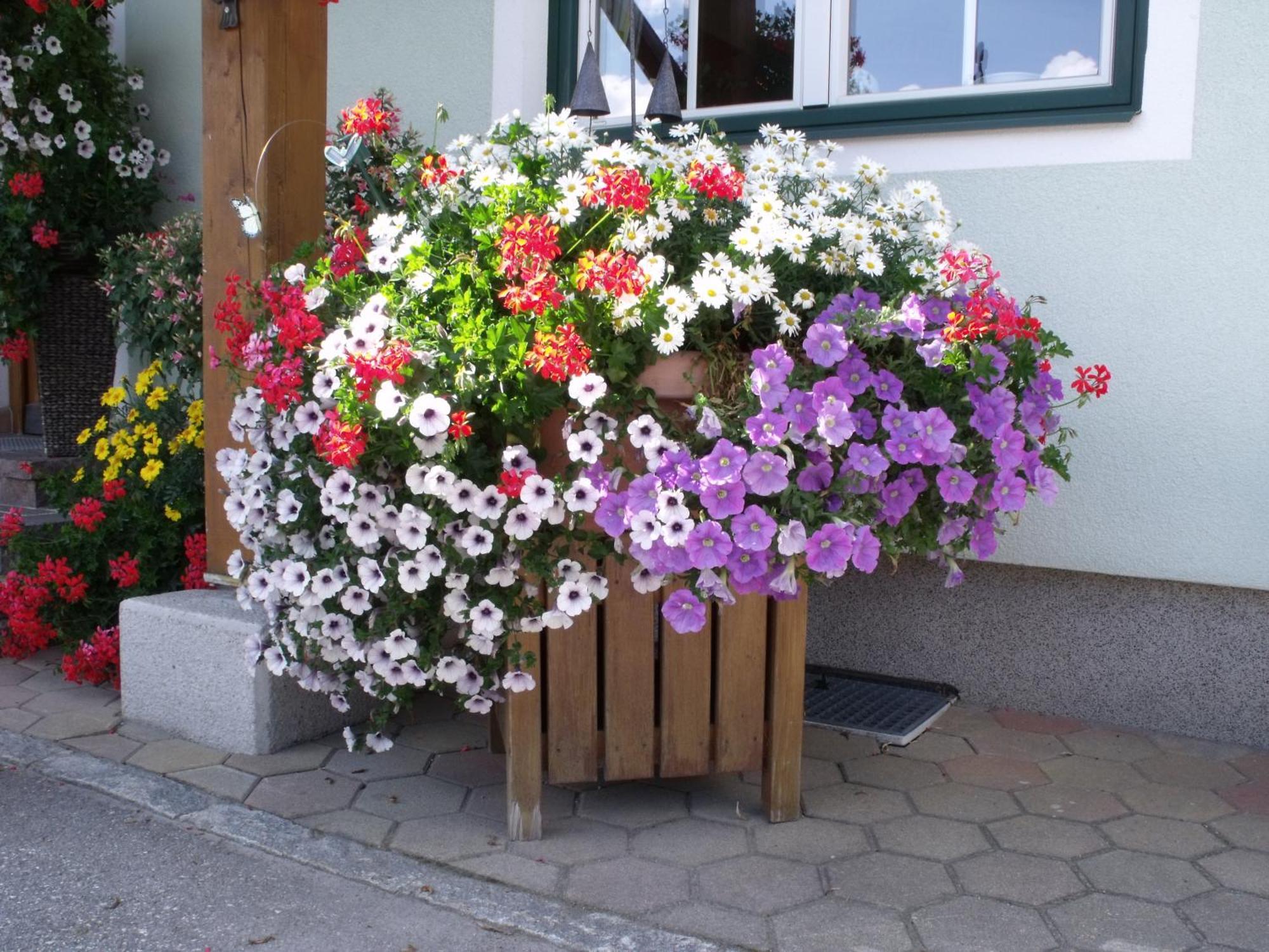 Appartements Bacherhof Schladming Zewnętrze zdjęcie